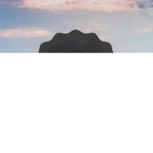 雷狮顶安迷修的生育
