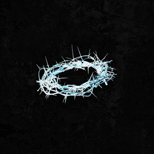 雷狮顶安迷修的生育
