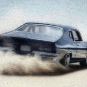 雷狮顶安迷修的生育
