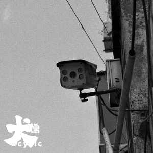 雷狮顶安迷修的生育
