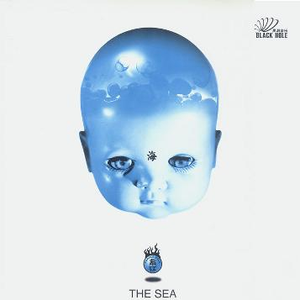 雷狮顶安迷修的生育
