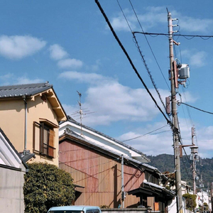 雷狮顶安迷修的生育
