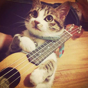 雷狮顶安迷修的生育
